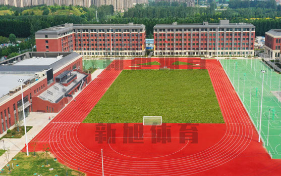 河南塑膠跑道材料生產廠家