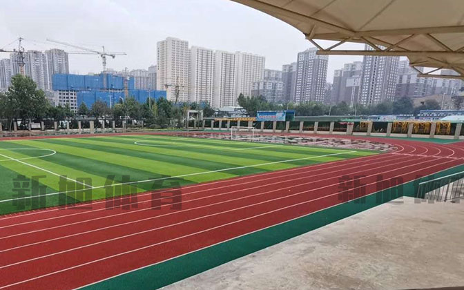 塑膠跑道顆粒生產廠家